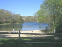 Seths Pond Along side Lamberts Cove Road. Be careful where you park. A sign there will help you to find legal spots.